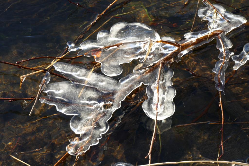 Stacks Image 87